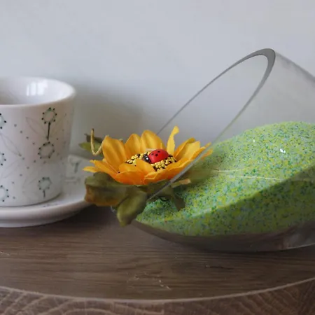 Giuseppe Bernabei 4* Marino